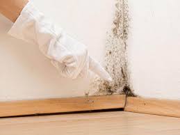 Best Asbestos and Lead Testing During Mold Inspection in Frent Hills, MO